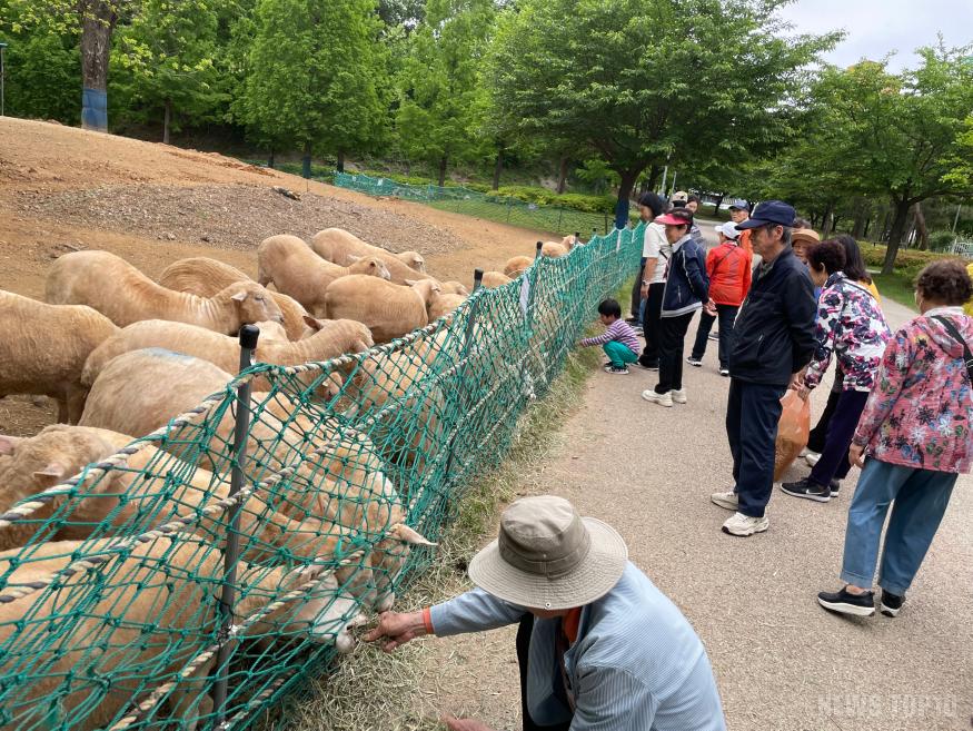 (1-2) 남동구 치매안심센터, 치매환자와 봄 나들이 운영.jpeg