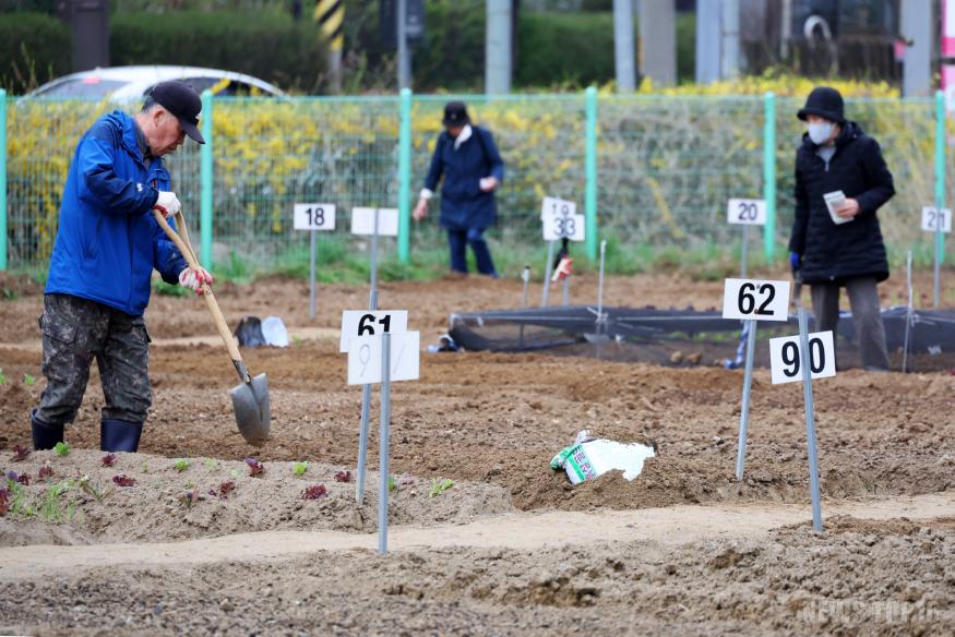 (3-3) 남동구, 어르신의 도심 속 힐링공간으로 남동 실버농장 운영.jpg